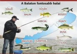 Horgászat 3.jpg