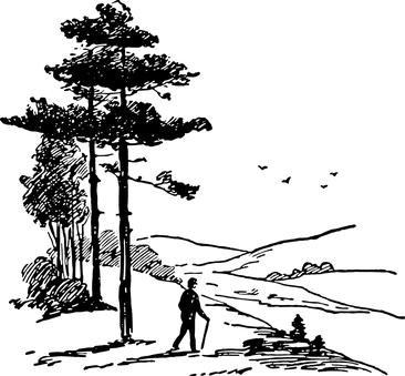 Túrázás túrautak